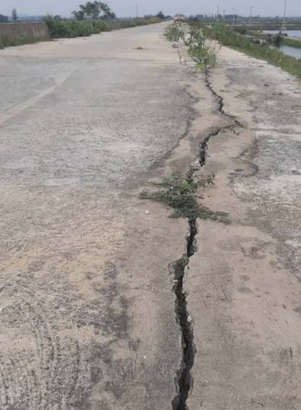 Thông tin từ đường dây nóng